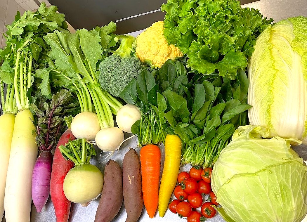 【開催のご報告】Cocoron食堂